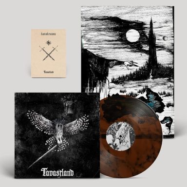 Disco de vinilo con arte oscuro y dos ilustraciones, una de un búho y otra de un paisaje.